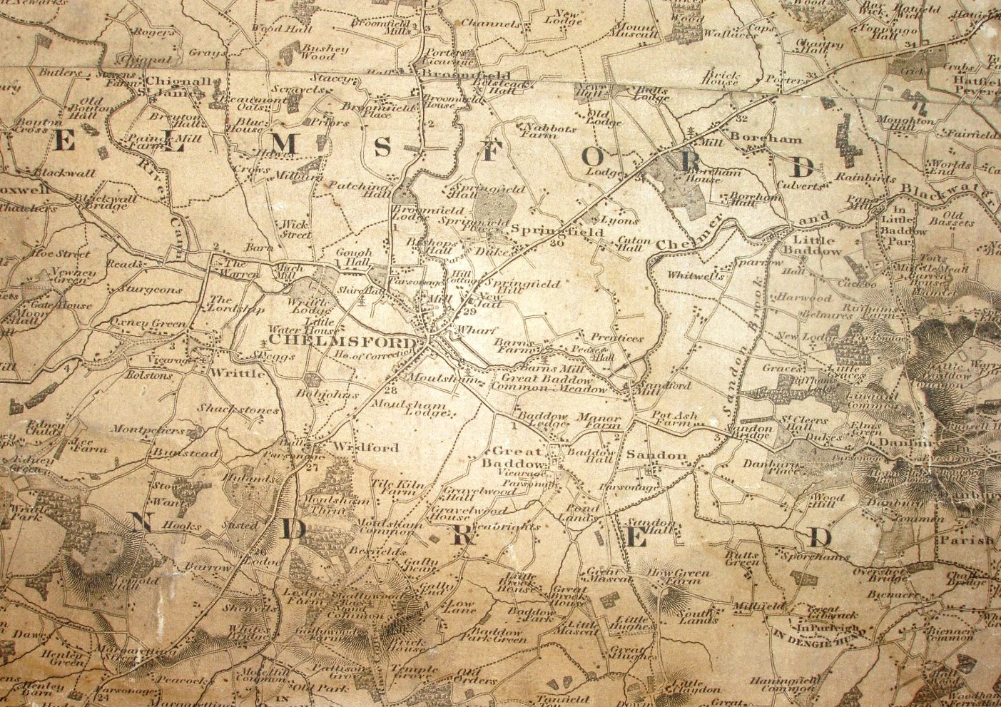 Greenwood 1825 Chelmsford close-up